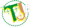 TJCreativo.com